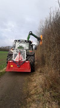 Hecke schneiden 